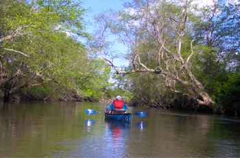 Carolina Rivers: French Broad Vignette